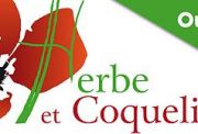 Herbe et coquelicot